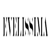 Logo Damski butik online | Evelissima